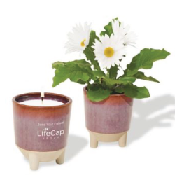 2-Modern-Sprout-Gift-Set